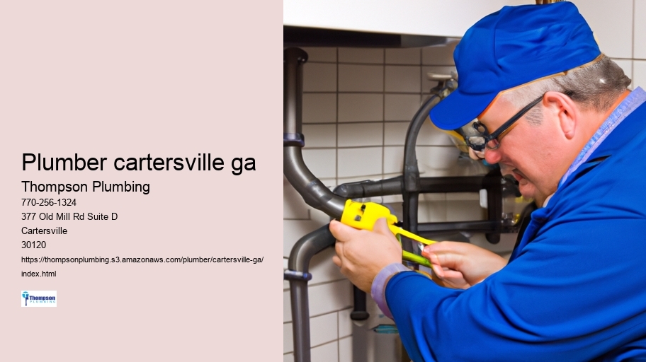 Plumber cartersville ga