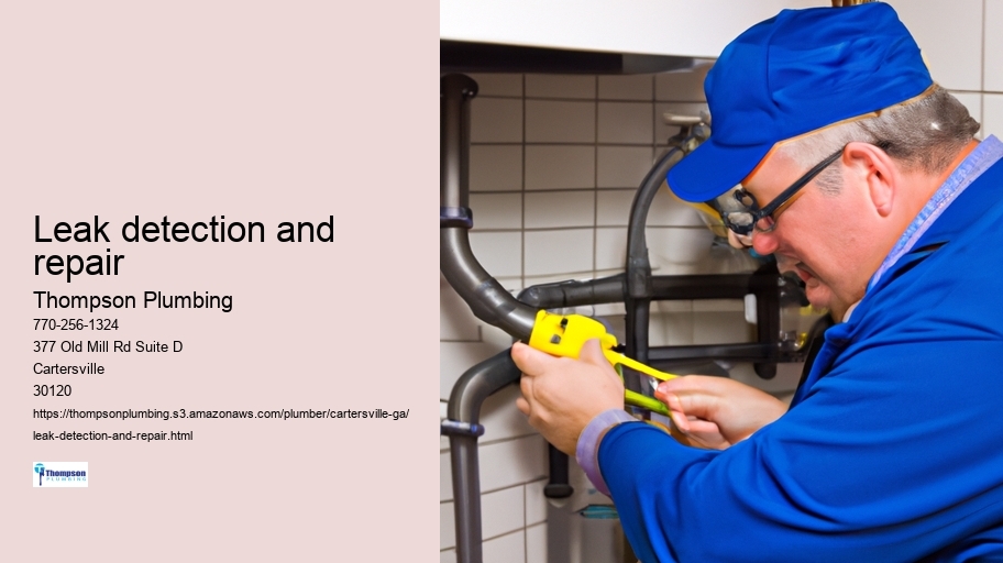 Leak detection and repair