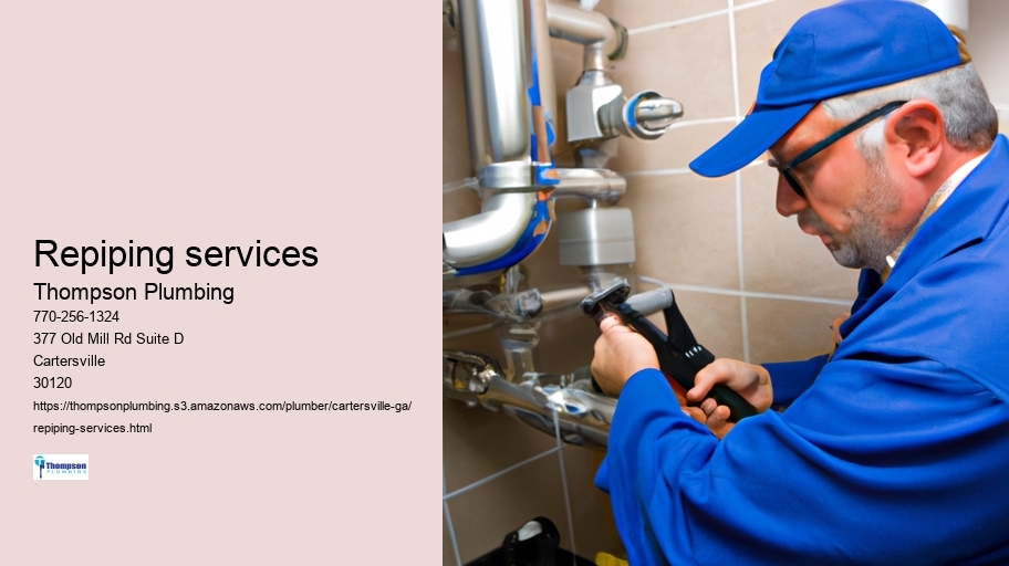 Repiping services